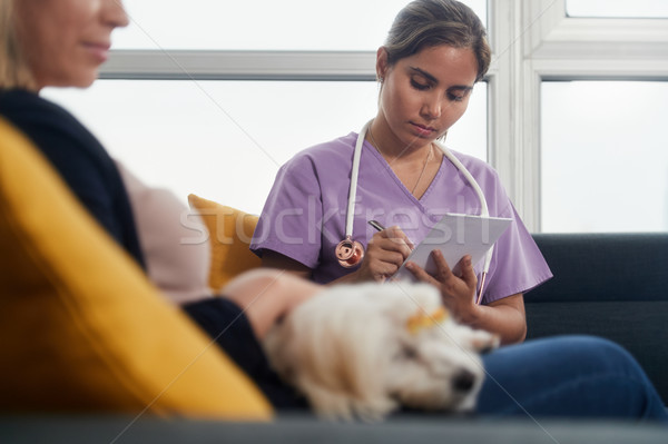 Foto stock: Jóvenes · veterinario · hablar · perro · propietario · casa