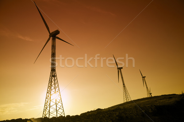 Environnement conservation coucher du soleil ciel technologie [[stock_photo]] © diego_cervo