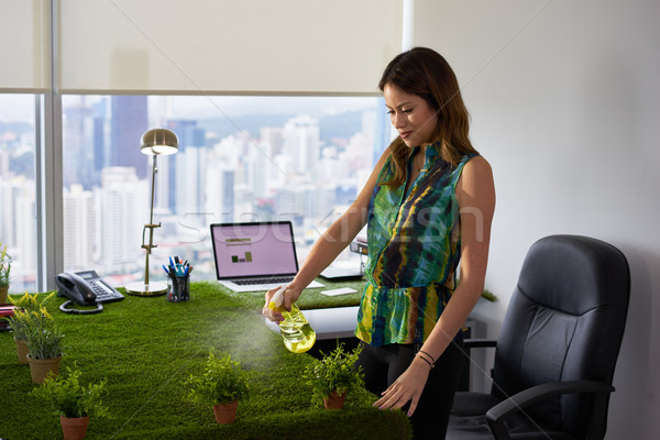 Ecologist Business Woman Watering Plants In Corporate Office Stock photo © diego_cervo