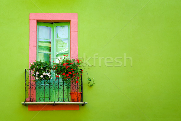 Stock foto: Home · Sweet · Home · grünen · Fenster · Wand · Blumen · home