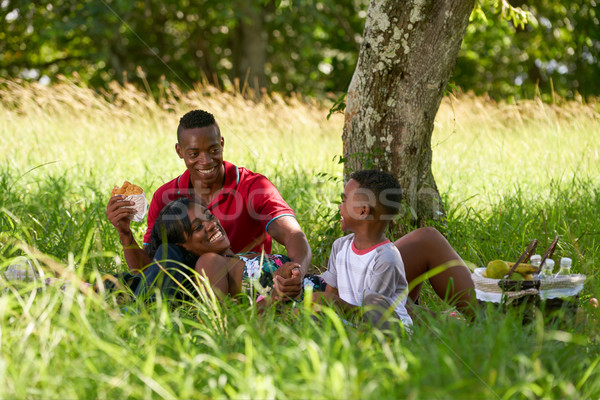 Tată mamă mananca alimente picnic Imagine de stoc © diego_cervo