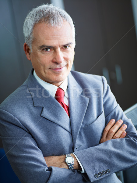 Volwassen zakenman kantoor portret zakenman armen Stockfoto © diego_cervo