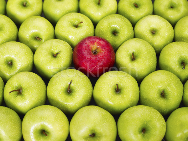 Rojo verde manzanas manzana roja pie fuera Foto stock © diego_cervo