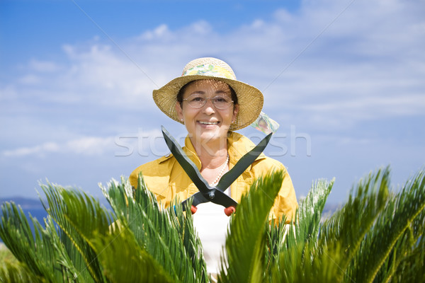 Kertészkedés portré idős olasz nő néz Stock fotó © diego_cervo