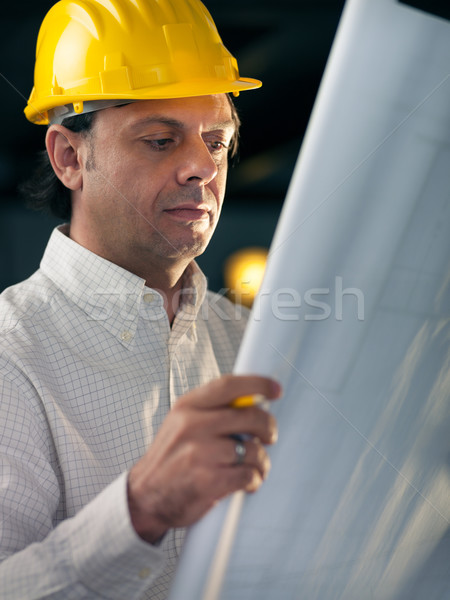 Adult businessman working as engineer holding blueprints Stock photo © diego_cervo