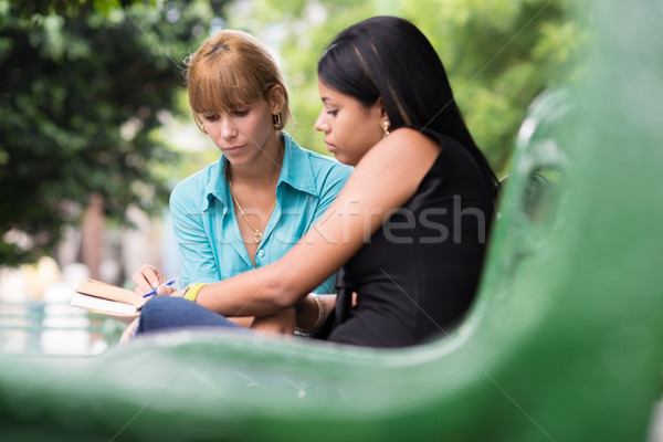 Foto stock: Universidad · estudiantes · estudiar · libro · de · texto · parque · las · mujeres · jóvenes