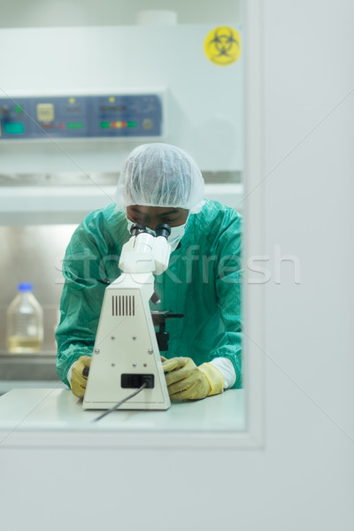 Férfi munka mikroszkóp biotechnológia labor férfi Stock fotó © diego_cervo