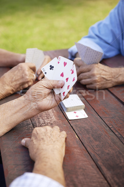 Actieve senioren groep oude vrienden speelkaarten park Stockfoto © diego_cervo