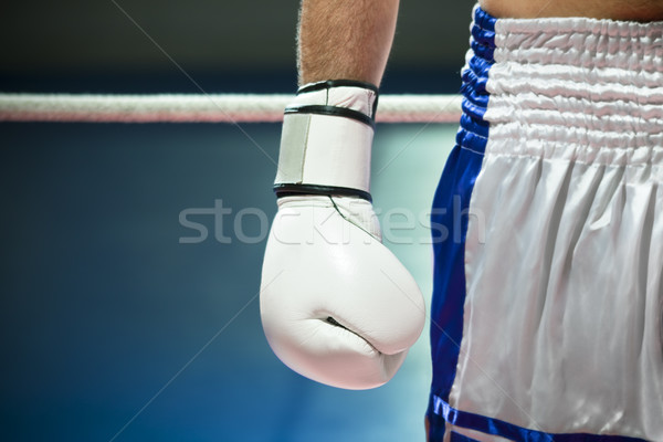 Boks widoku człowiek rękawice bokserskie kopia przestrzeń strony Zdjęcia stock © diego_cervo
