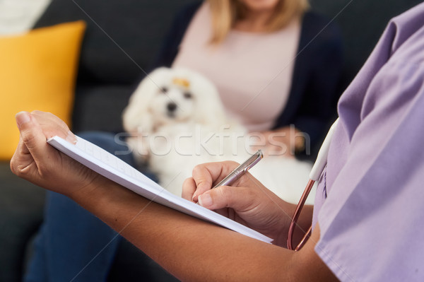 Stock photo: Vet Writing Health Care Note For Dog Prescription Medicine