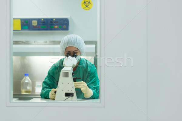 Femeie muncă microscop biotehnologie laborator femeie Imagine de stoc © diego_cervo