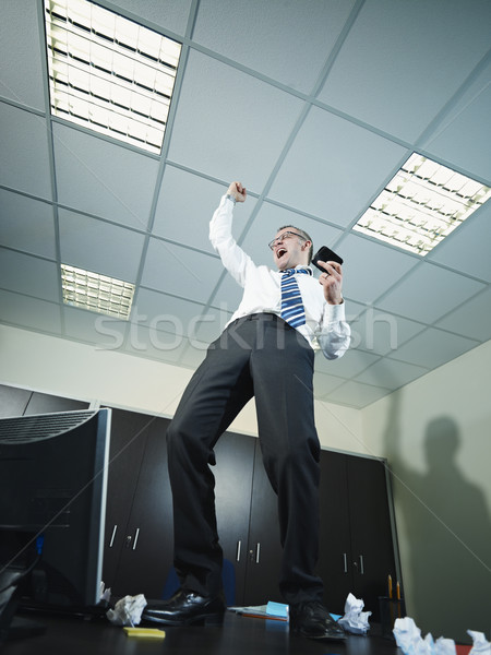 Geschäftsmann gute Nachrichten Telefon reifen Geschäftsmann stehen Stock foto © diego_cervo