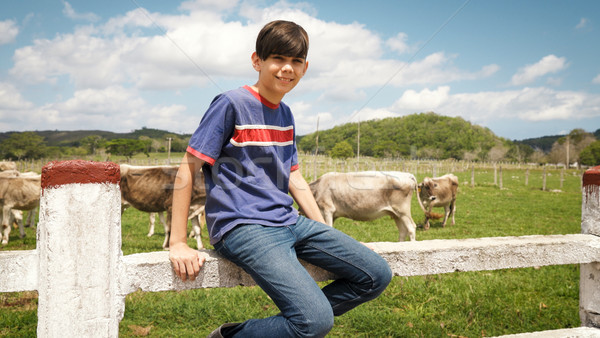 Portrait Of Happy Boy In Farm With Cows In Ranch Stock photo © diego_cervo