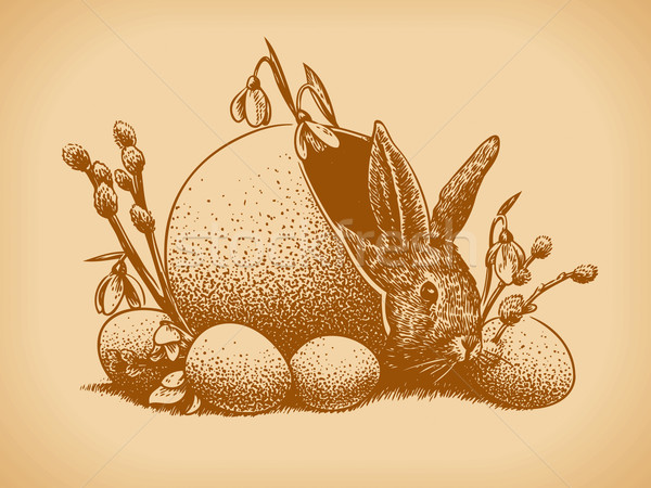 Lapin de Pâques vintage style vecteur printemps oeuf [[stock_photo]] © digiselector