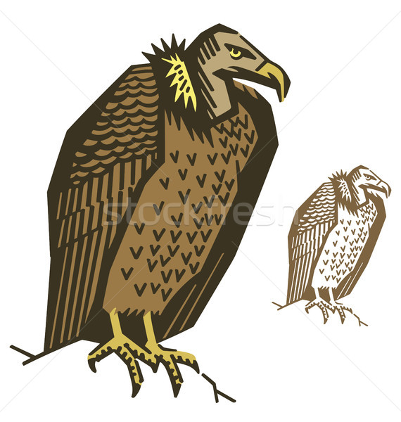 Vautour oiseau illustration vecteur animaux fort [[stock_photo]] © digiselector