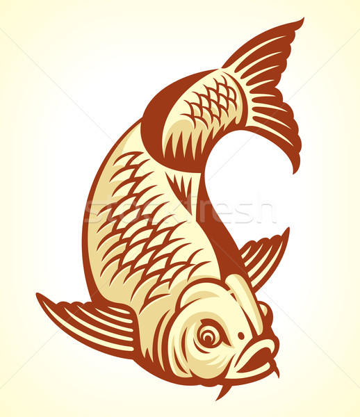 Carpa peces Cartoon agua belleza arte Foto stock © digiselector