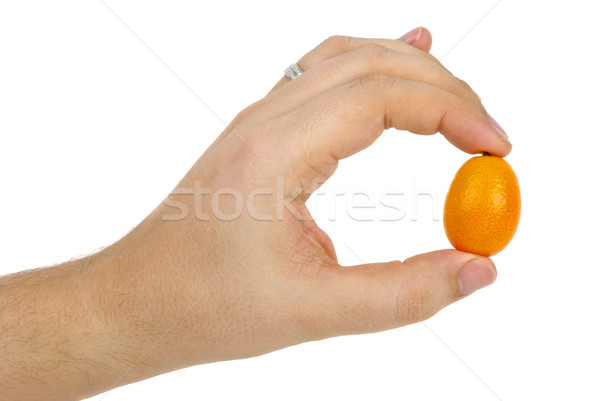 Kumquat fruit in hand Stock photo © digitalr