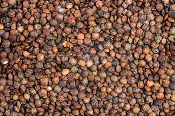 Background of dried french lentils Stock photo © digitalr
