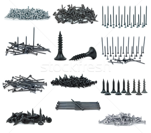 Set of different screws Stock photo © digitalr