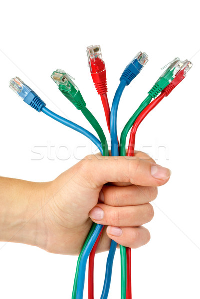 Bunch of different colored patch-cords gripped in fist Stock photo © digitalr