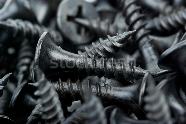 Metal screws Stock photo © digitalr