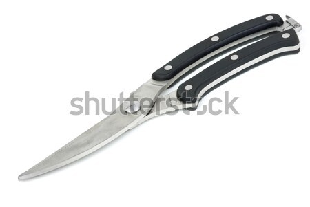 Zamknięte drób nożyczki odizolowany biały stali Zdjęcia stock © digitalr