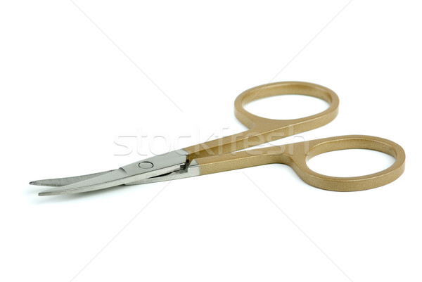 Nail scissors Stock photo © digitalr