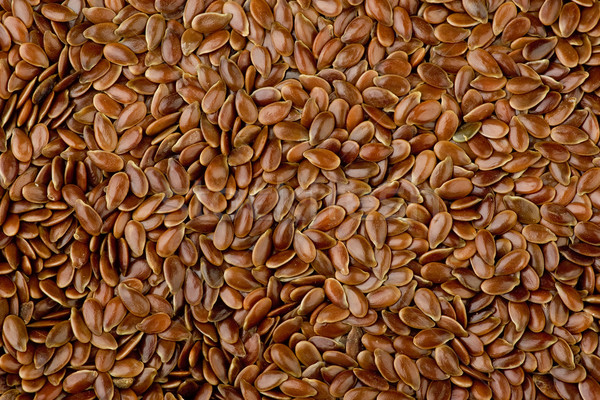 No descripción fondo semillas marrón Foto stock © digitalr
