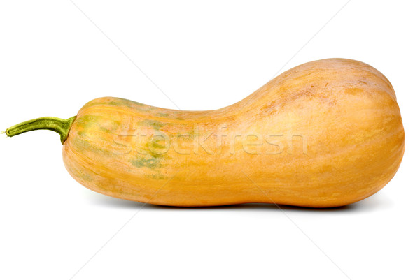 Calabash pumpkin Stock photo © digitalr