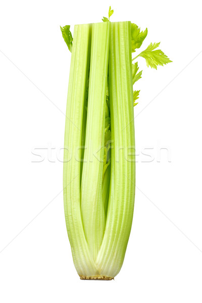 Bunch of celery sticks Stock photo © digitalr