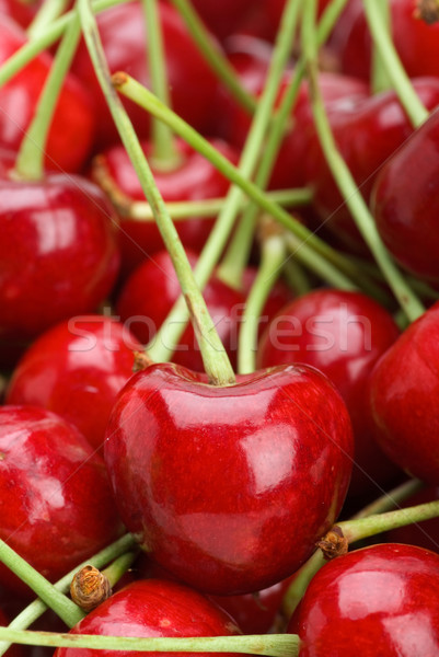 Red cherries with stalks Stock photo © digitalr
