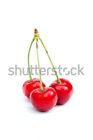 три вкусный вишни красный изолированный белый Сток-фото © digitalr