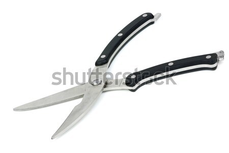 Drób nożyczki odizolowany biały stali Zdjęcia stock © digitalr
