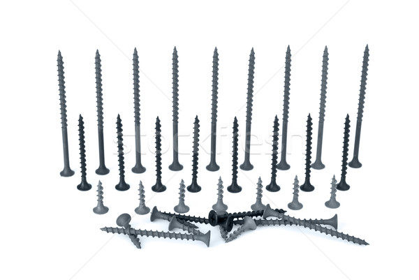Some different screws Stock photo © digitalr