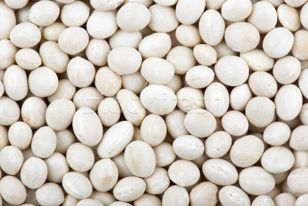 Round white haricot beans Stock photo © digitalr