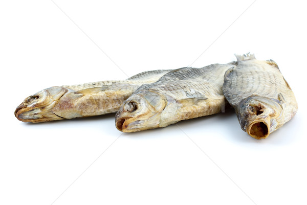 Three sea roach fishes Stock photo © digitalr