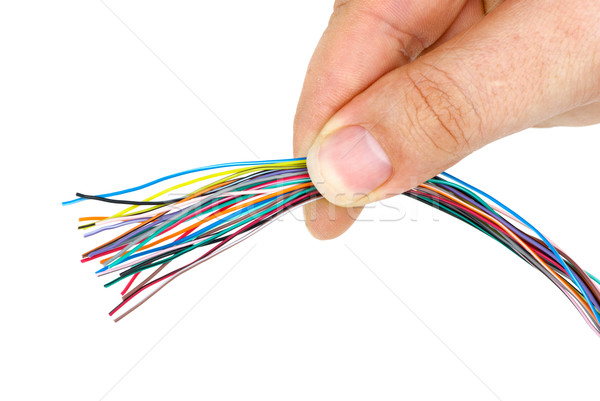 Hand holding bunch of different colored wires Stock photo © digitalr