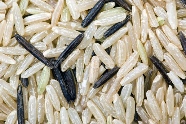 White and black uncultivated rice (macro) Stock photo © digitalr
