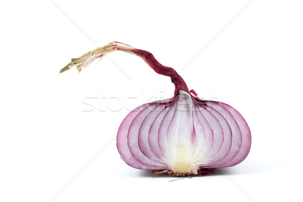 Half of red onion Stock photo © digitalr