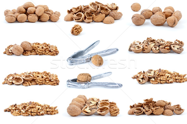 Set of walnuts Stock photo © digitalr