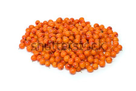 Pile of sea buckthorn berries Stock photo © digitalr