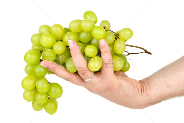 Main raisins verts isolé blanche fond Photo stock © digitalr