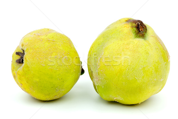 два свежие айва плодов изолированный белый Сток-фото © digitalr