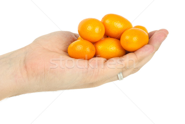 Hand holding few kumquat fruits Stock photo © digitalr