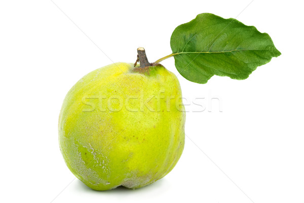 Single fresh quince with leaf Stock photo © digitalr