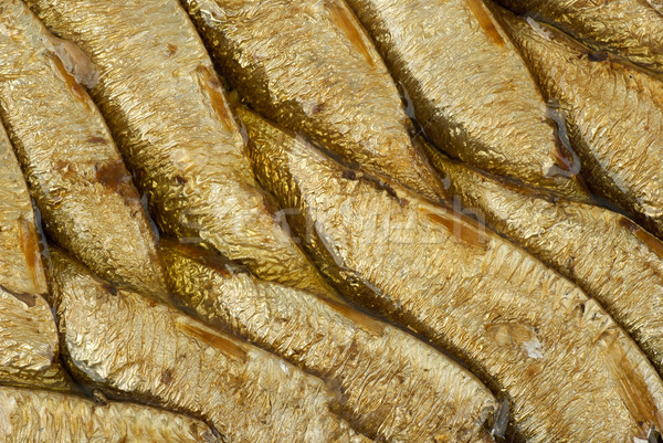 Abstract background: conserved sprat fish in oil Stock photo © digitalr
