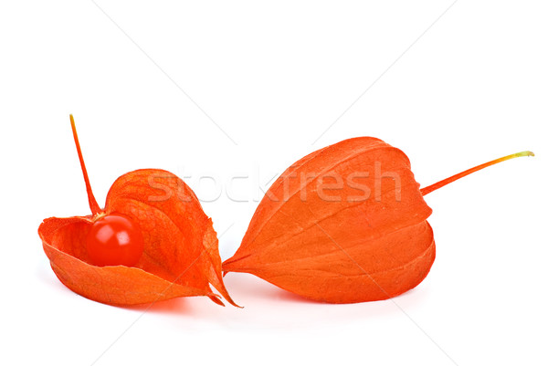 Whole and shelled winter cherries Stock photo © digitalr