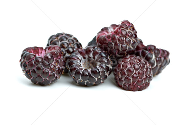 Few blackberries Stock photo © digitalr