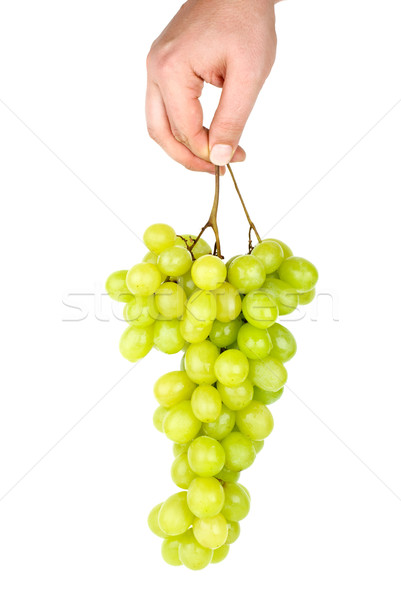 Main raisins verts isolé blanche Photo stock © digitalr