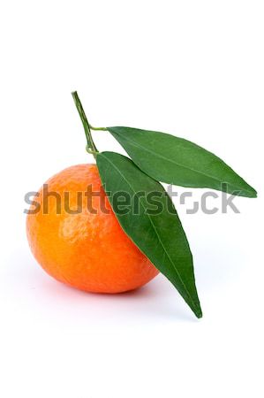 Single mandarine with leaves Stock photo © digitalr